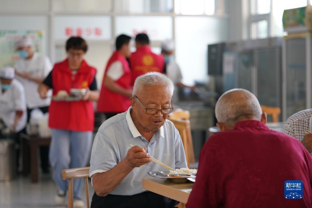 2017白菜网址大全